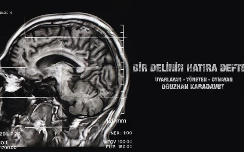 Bir Delinin Hatıra Defteri - Oğuzhan Karadavut