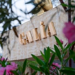 Galia Entertainment logo