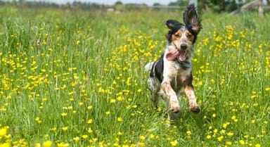 Spotify Çalma Listesi