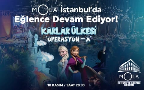 Karlar Ülkesi Çocuk Oyunu poster