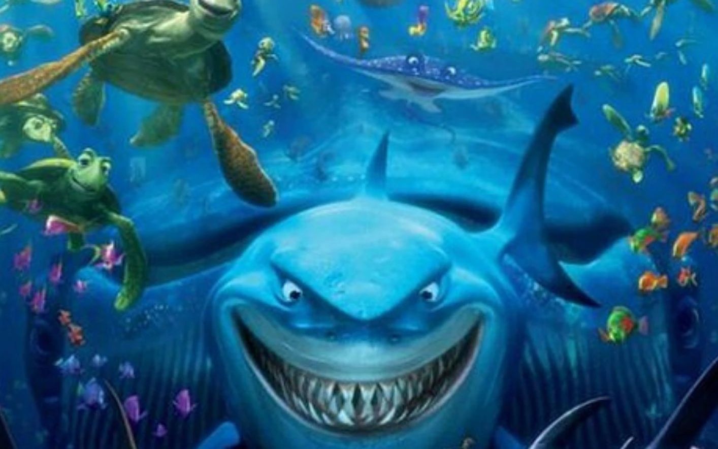 3D Nemo Film Gösterimi