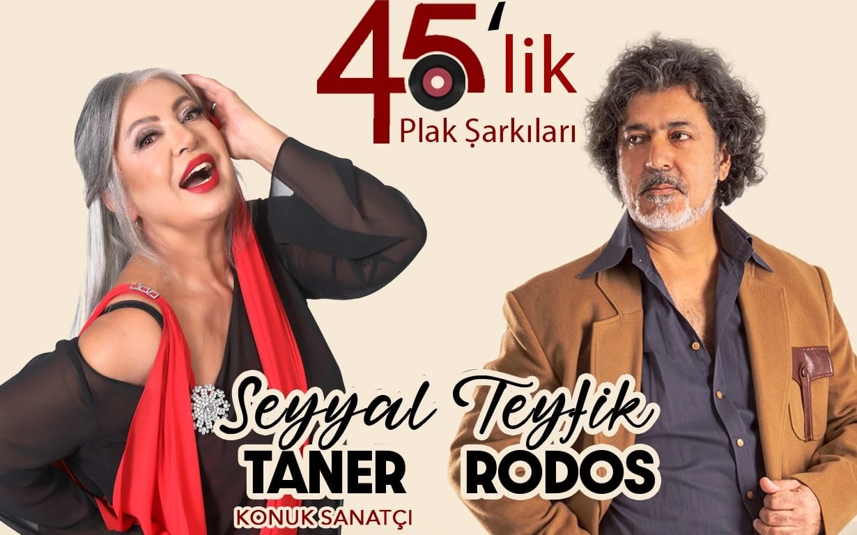 45'lik Plak Şarkıları -  Seyyal Taner & Teyfik Rodos
