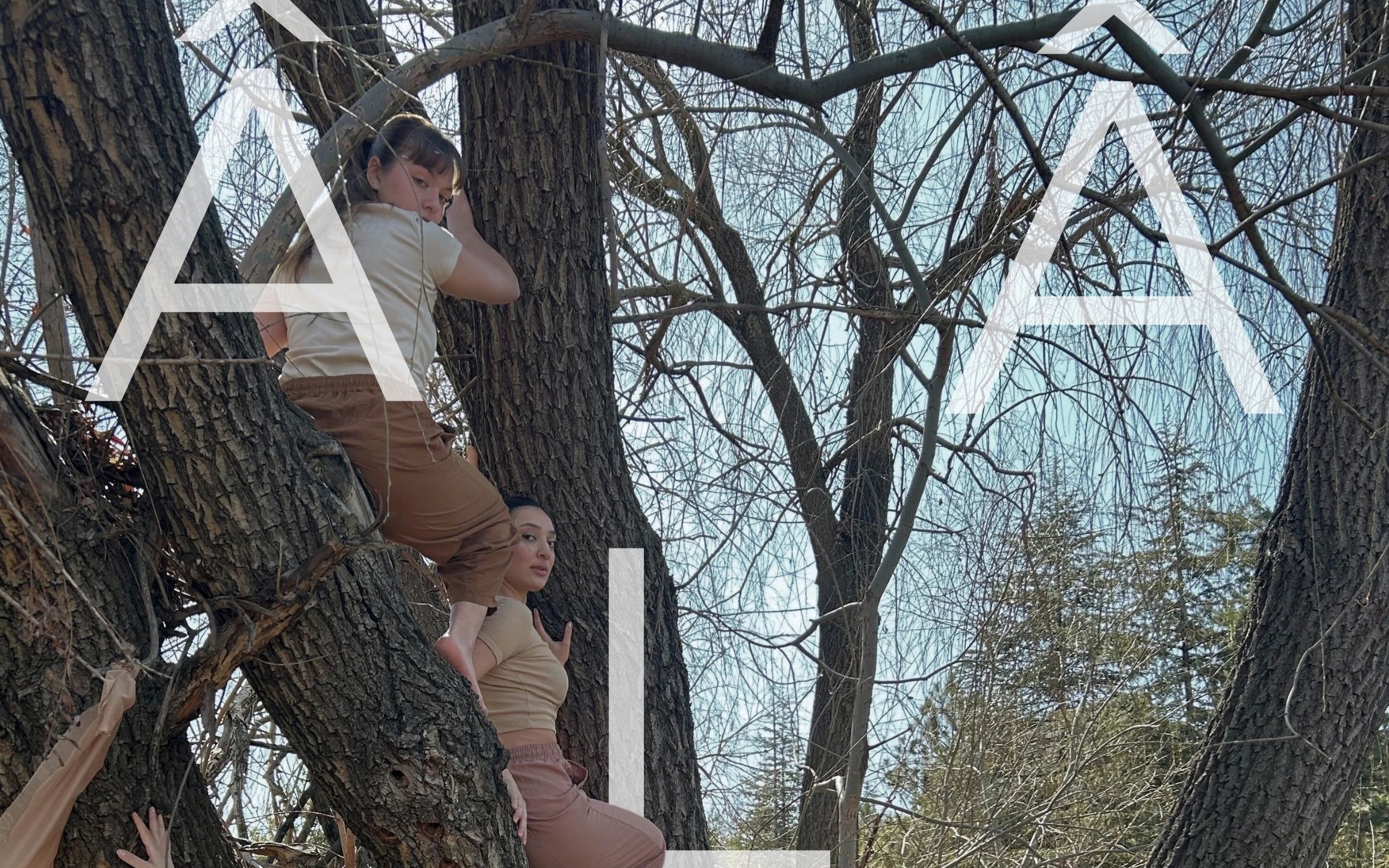 ALA - MAD Dance Theatre