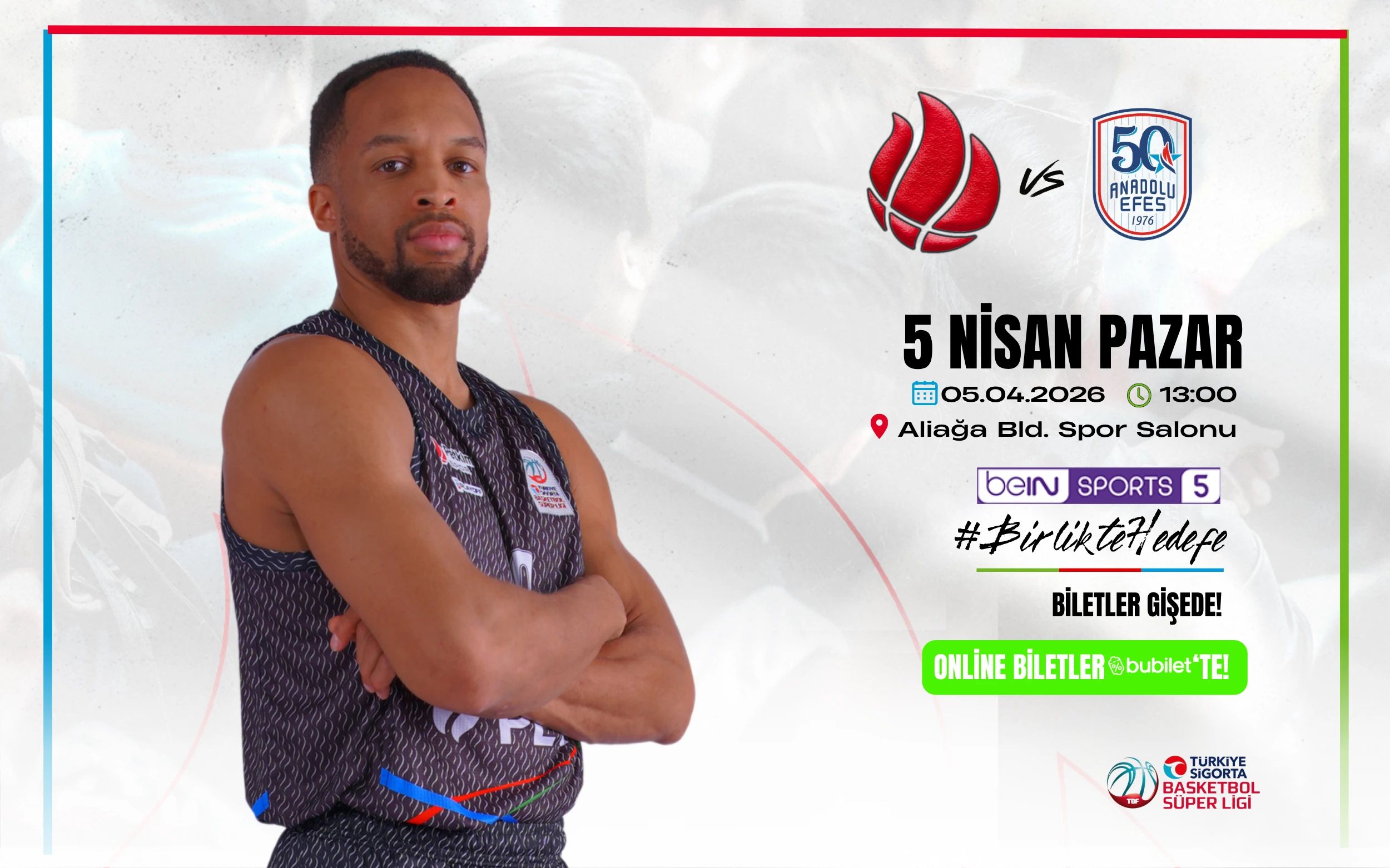 Aliağa Petkimspor - Anadolu Efes