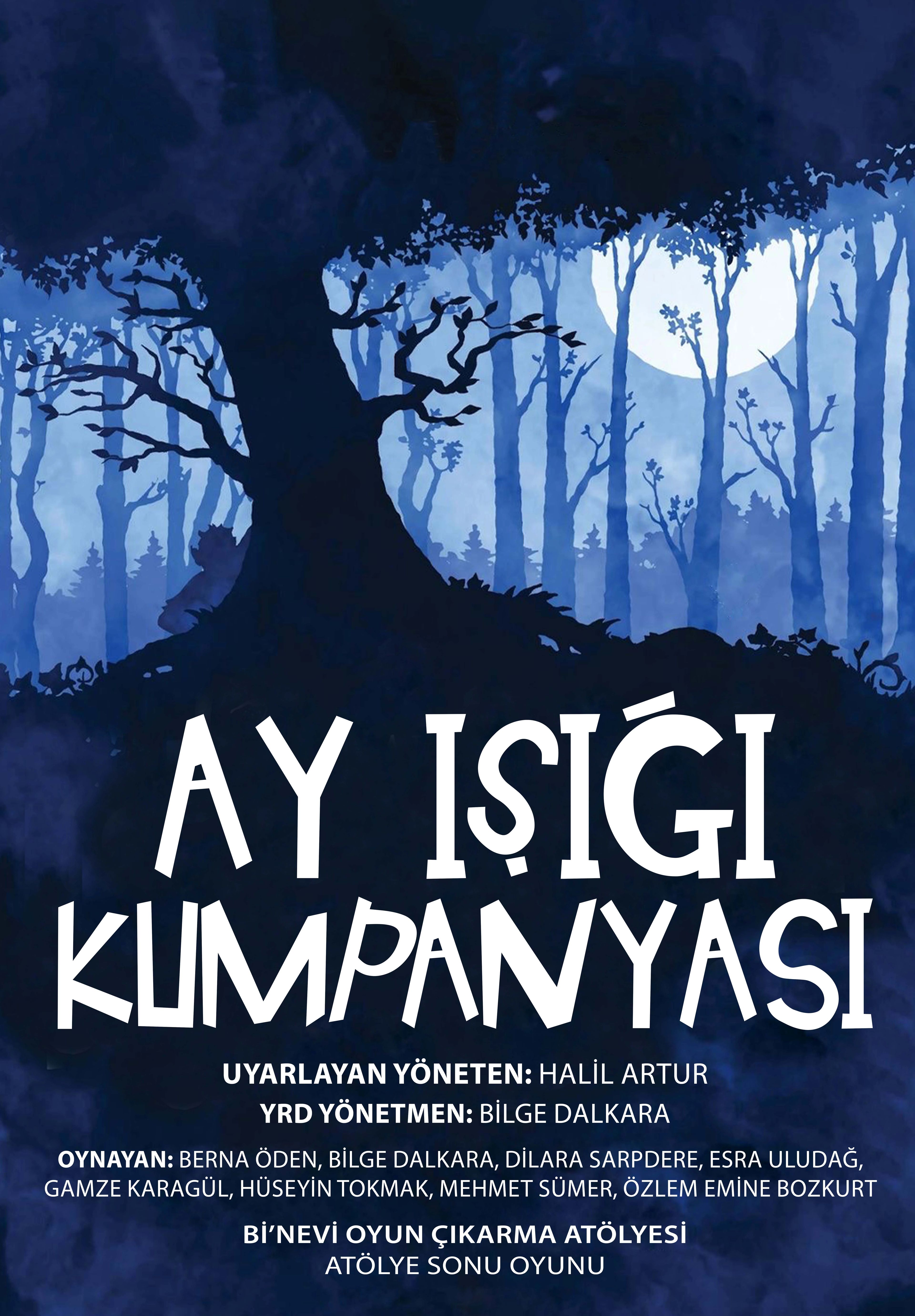 Ay Işığı Kumpanyası