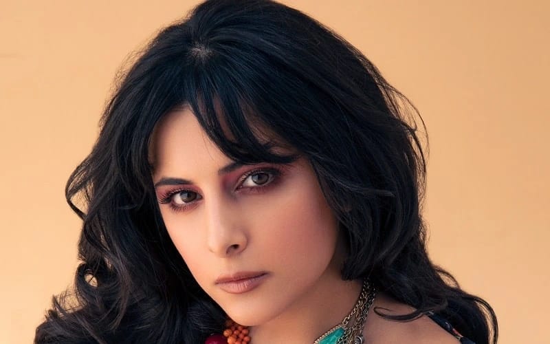 Ayda Konseri - Konuk Şanışer