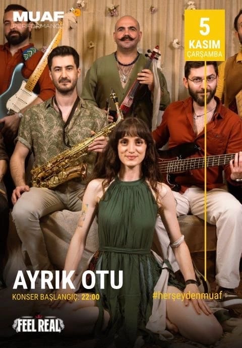 Ayrıkotu
