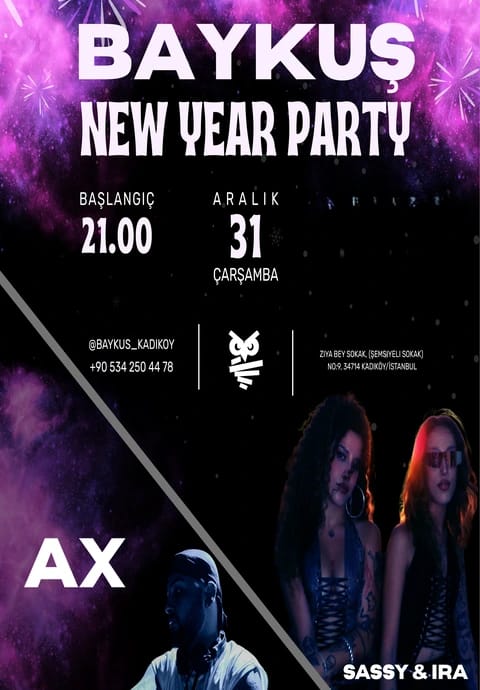 Baykuş Yeni Yıl Partisi