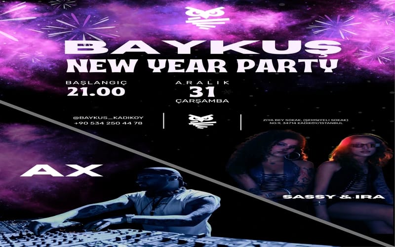 Baykuş Yeni Yıl Partisi