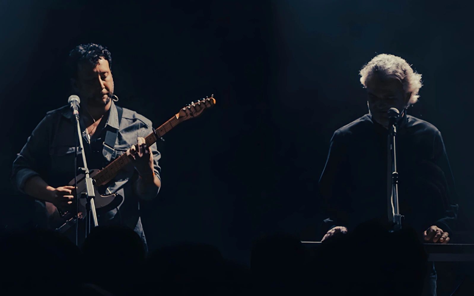 Beyaz Hayvanlar Konseri poster