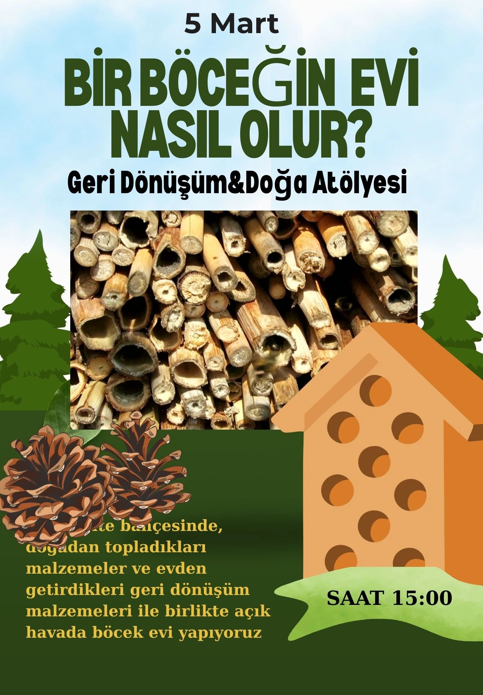 Bir Böceğin Evi Nasıl Olur?
