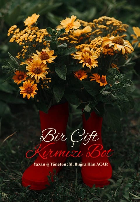 Bir Çift Kırmızı Bot