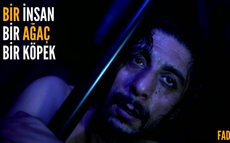 Bir İnsan Bir Ağaç Bir Köpek Oyunu