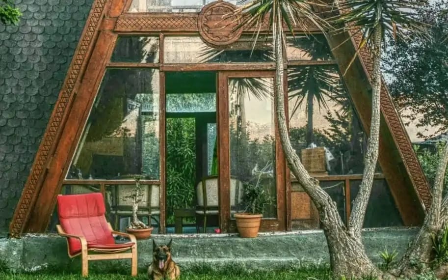 Bobyland Köpek Oteli - Köpek Eğitim Workshopları