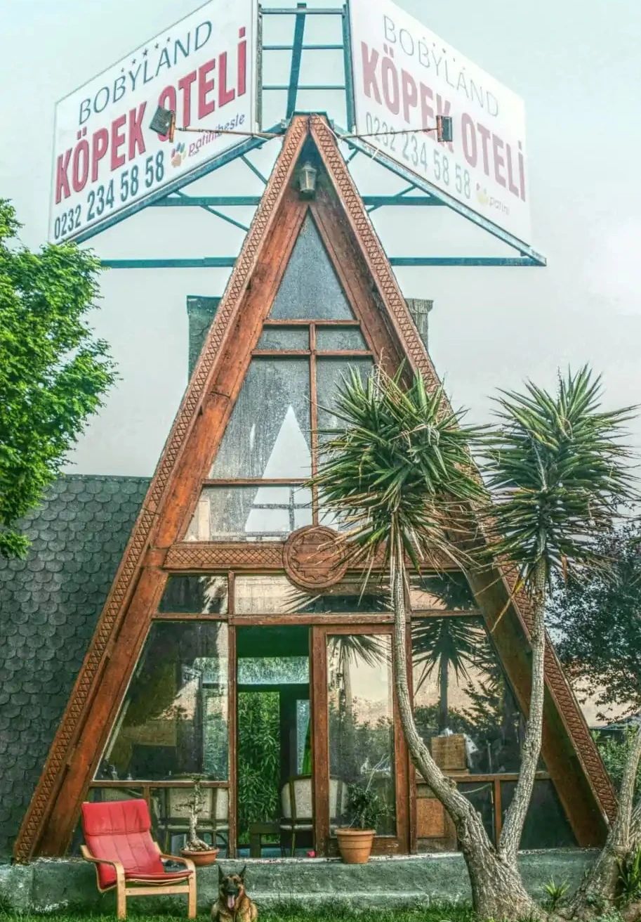 Bobyland Köpek Oteli - Köpek Eğitim Workshopları