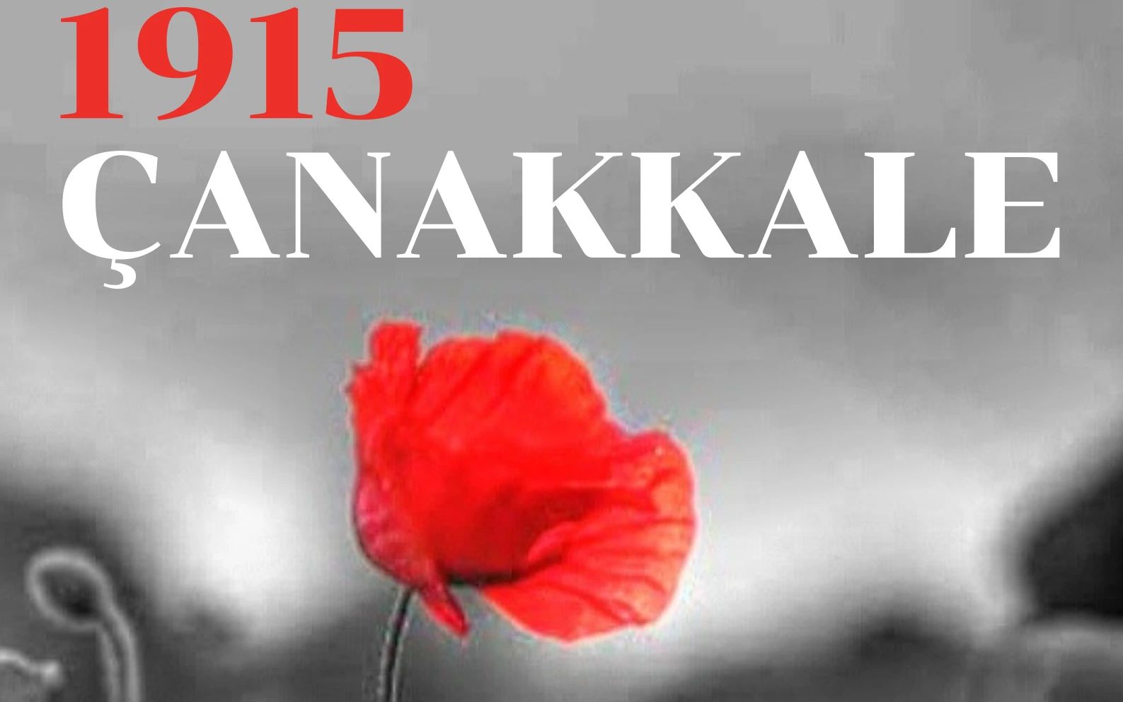 Çanakkale 1915