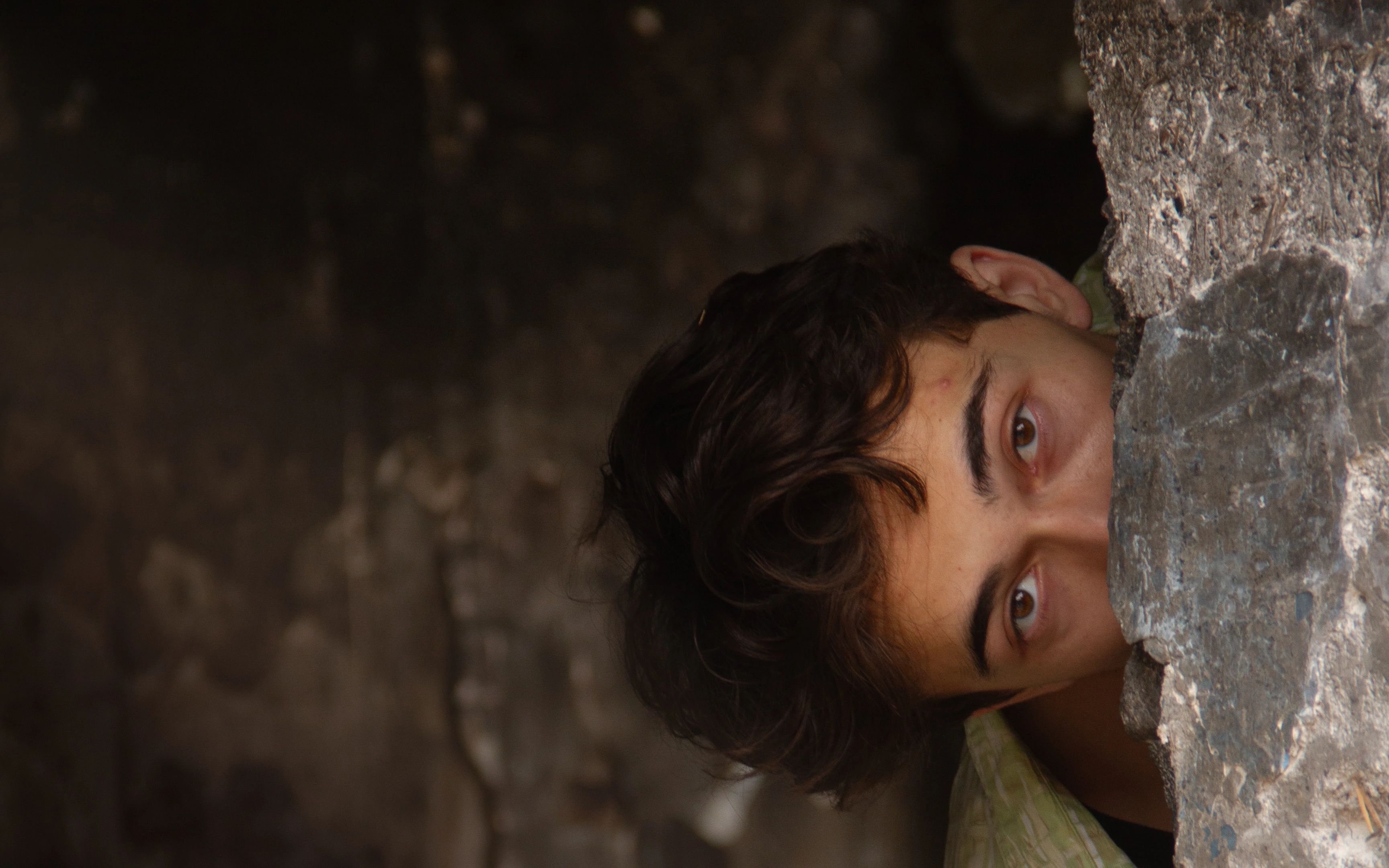 Cici Memo / 2598 numaralı sokak