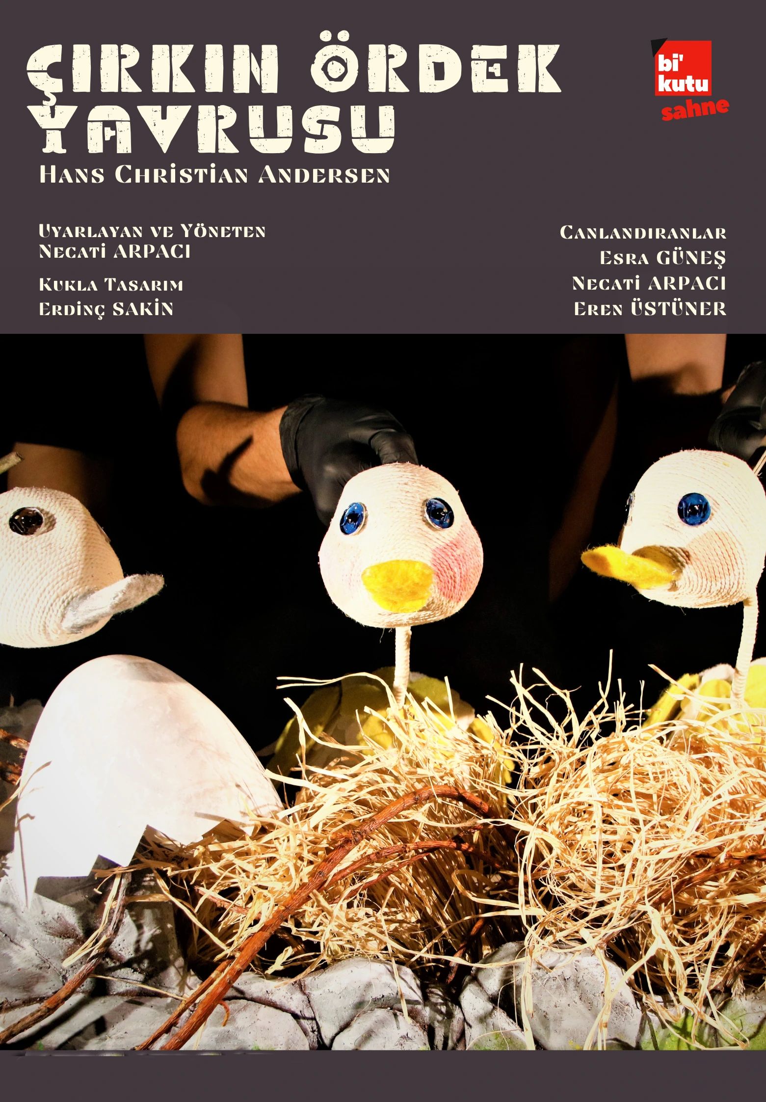 Çirkin Ördek Yavrusu Çocuk Oyunu