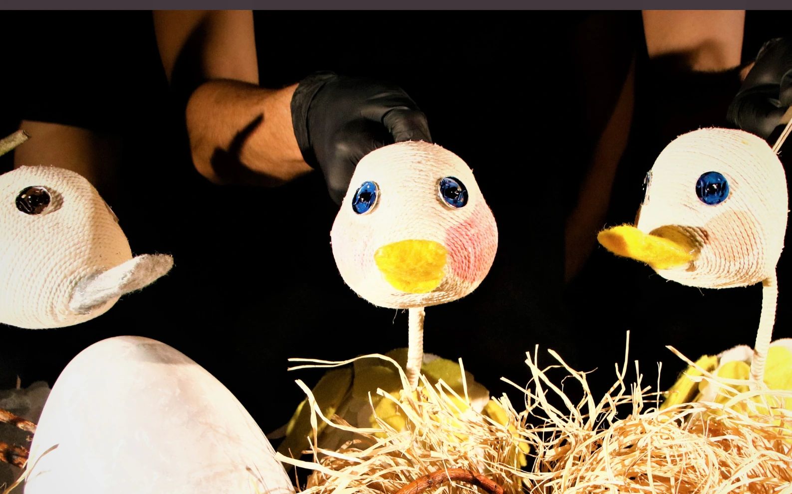 Çirkin Ördek Yavrusu Çocuk Oyunu