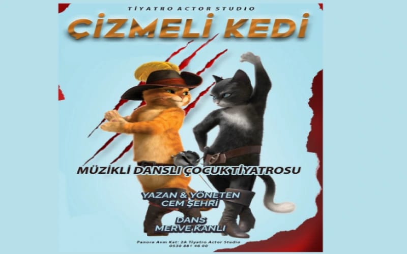 Çizmeli Kedi Oyunu