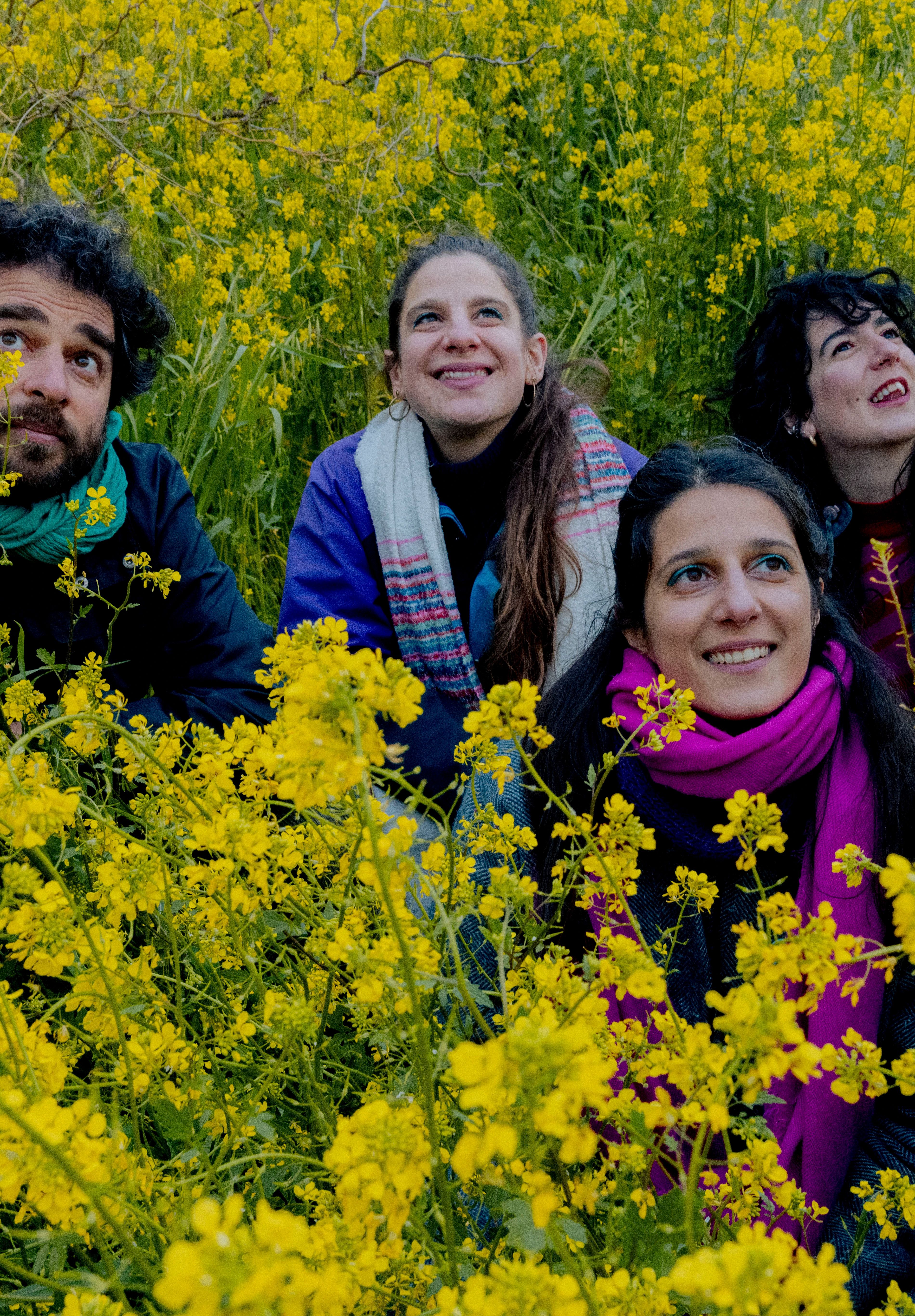 Collectif Medz Bazar