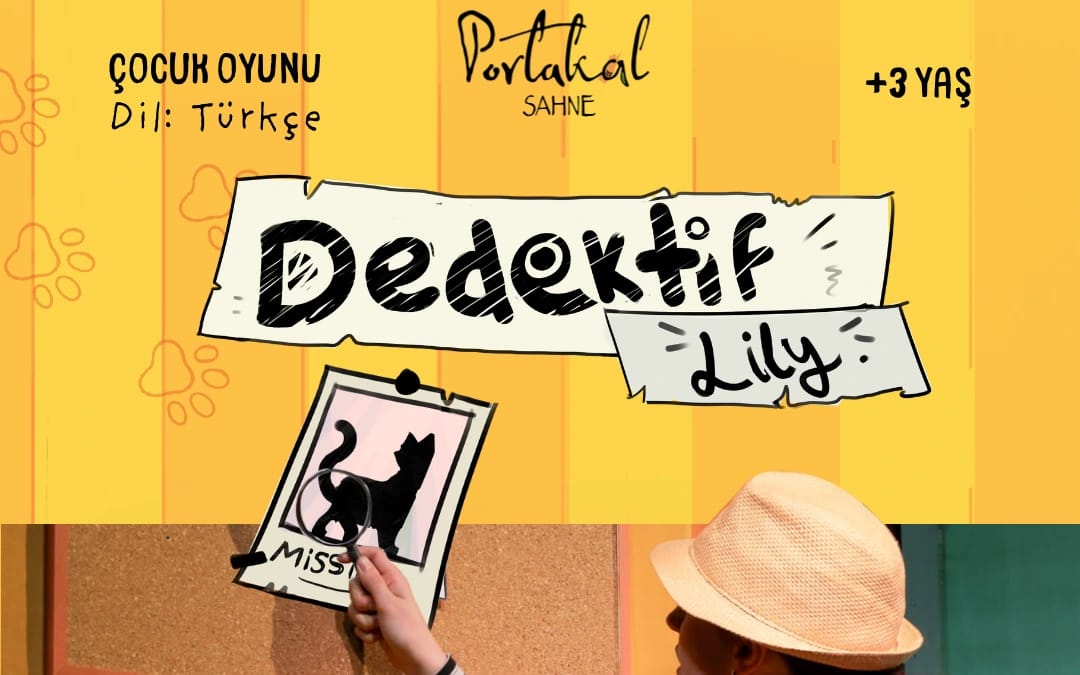 Dedektif Lily (Türkçe Çocuk Oyunu)