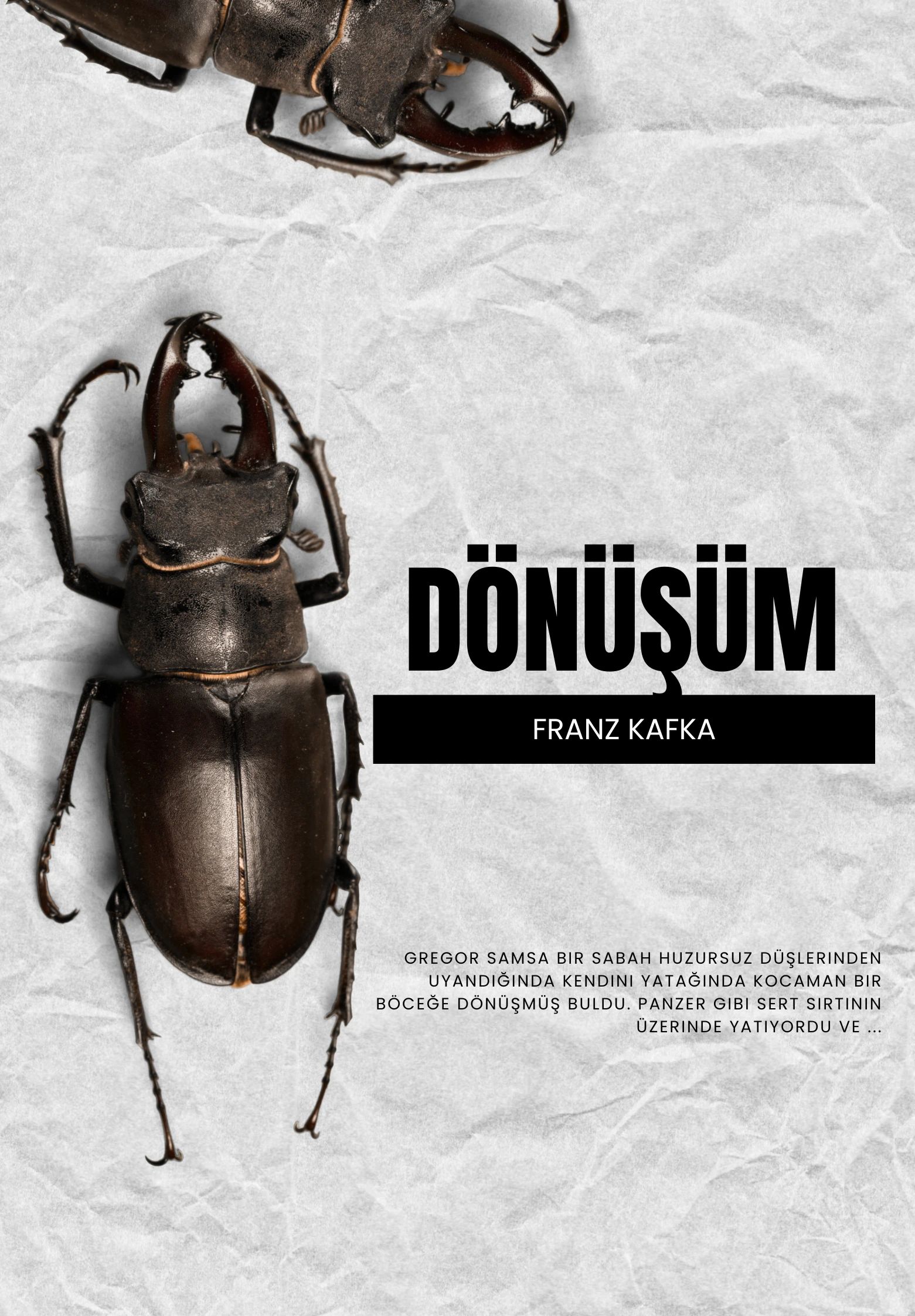 Dönüşüm Oyunu - Franz Kafka