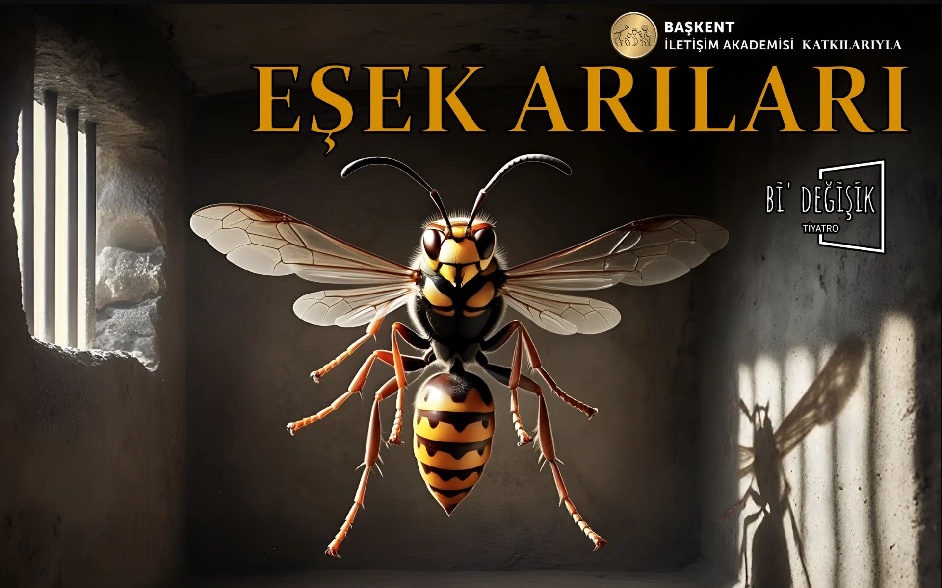 Eşek Arıları poster