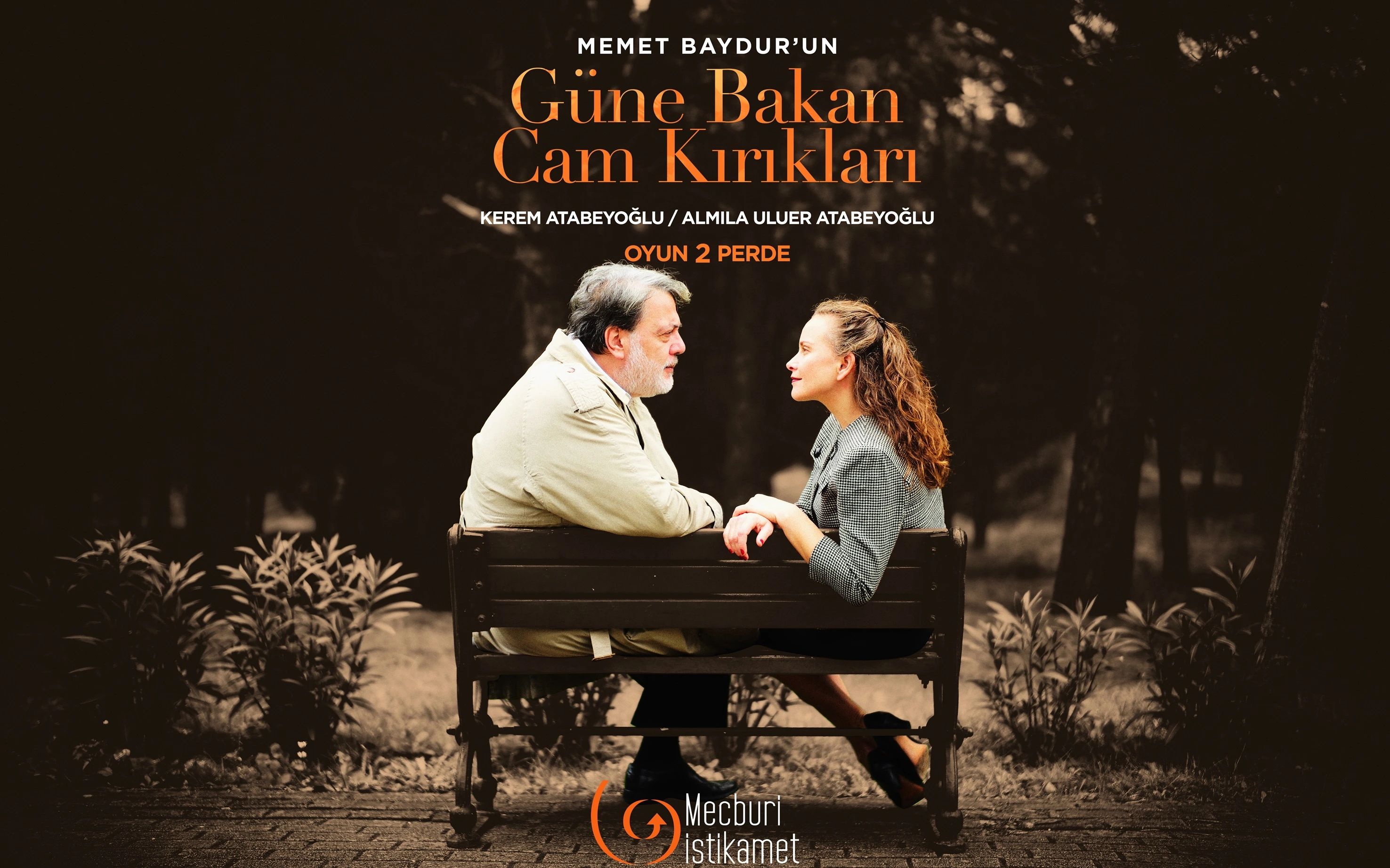 Güne Bakan Cam Kırıkları