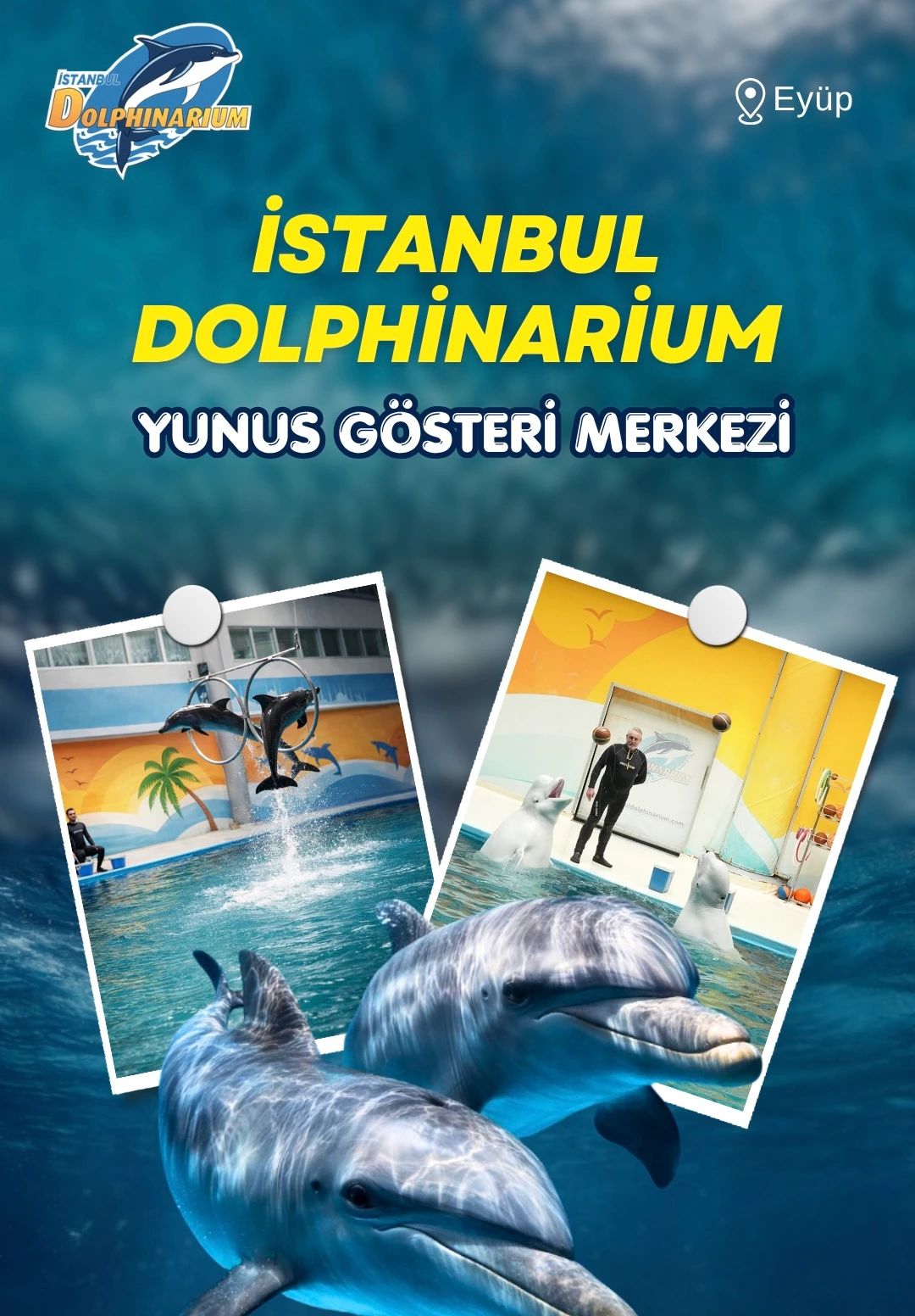 İstanbul Dolphinarium Yunus Gösteri Merkezi