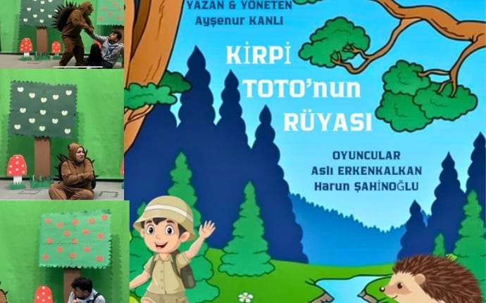 Kirpi Toto'nun Rüyası poster
