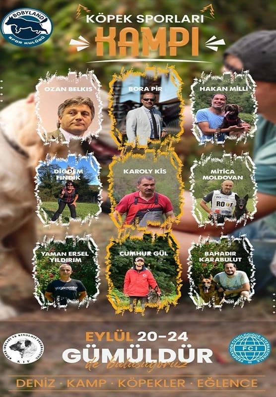 Köpek Sporları Kampı