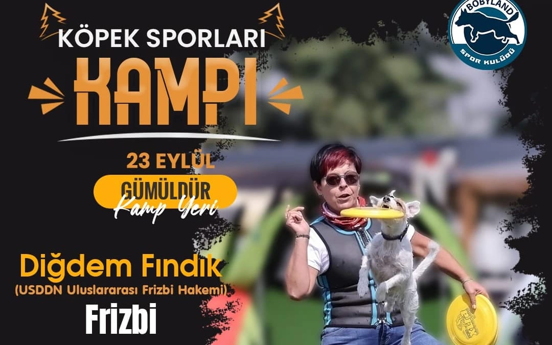 Köpek Sporları Kampı
