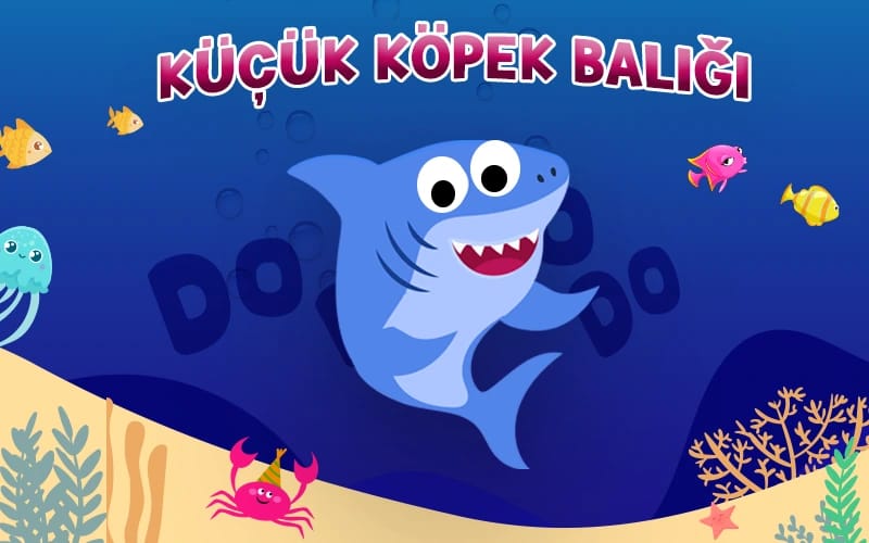 Küçük Köpek Balığı Oyunu