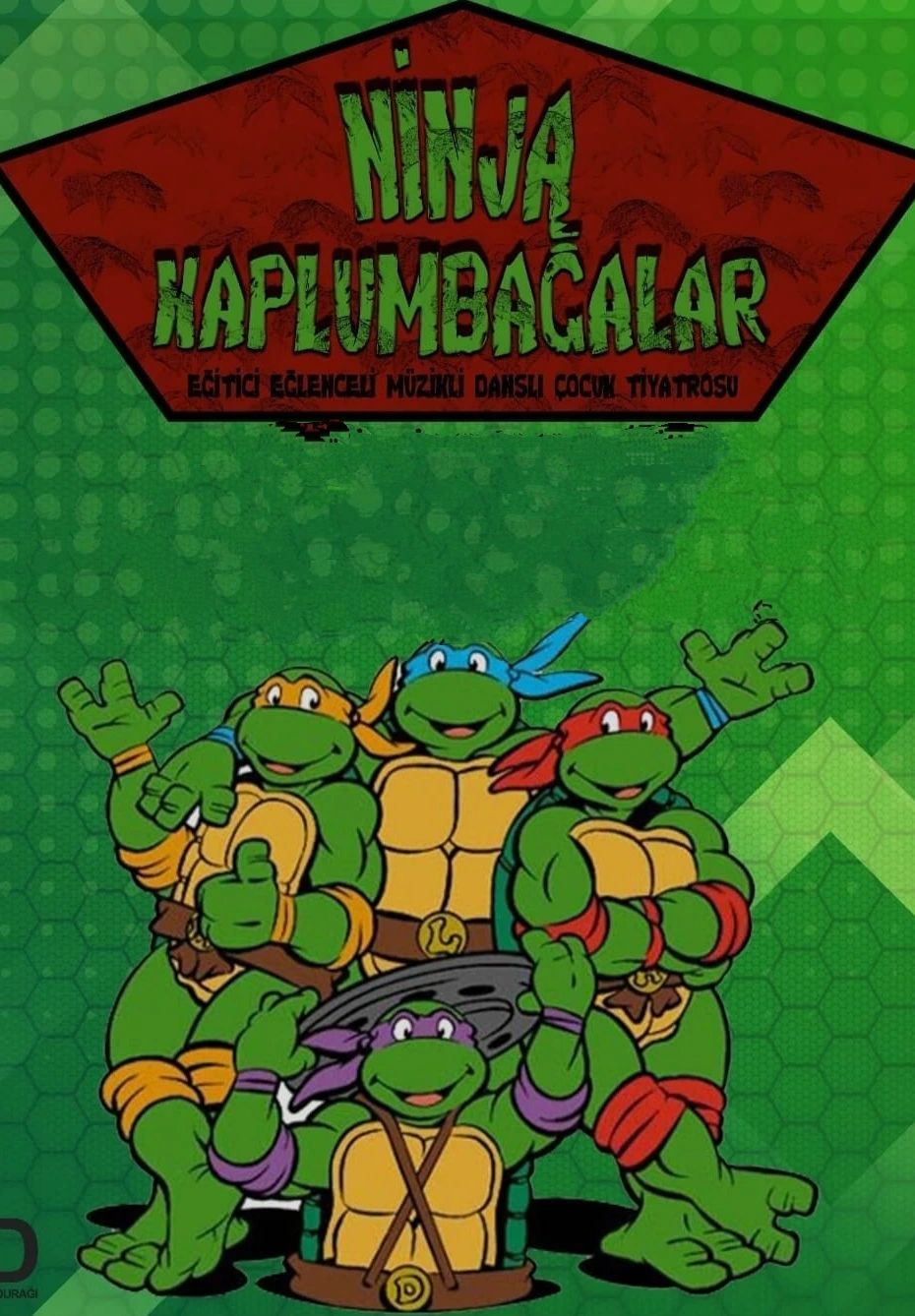 Ninja Kaplumbağalar Çocuk Oyunu