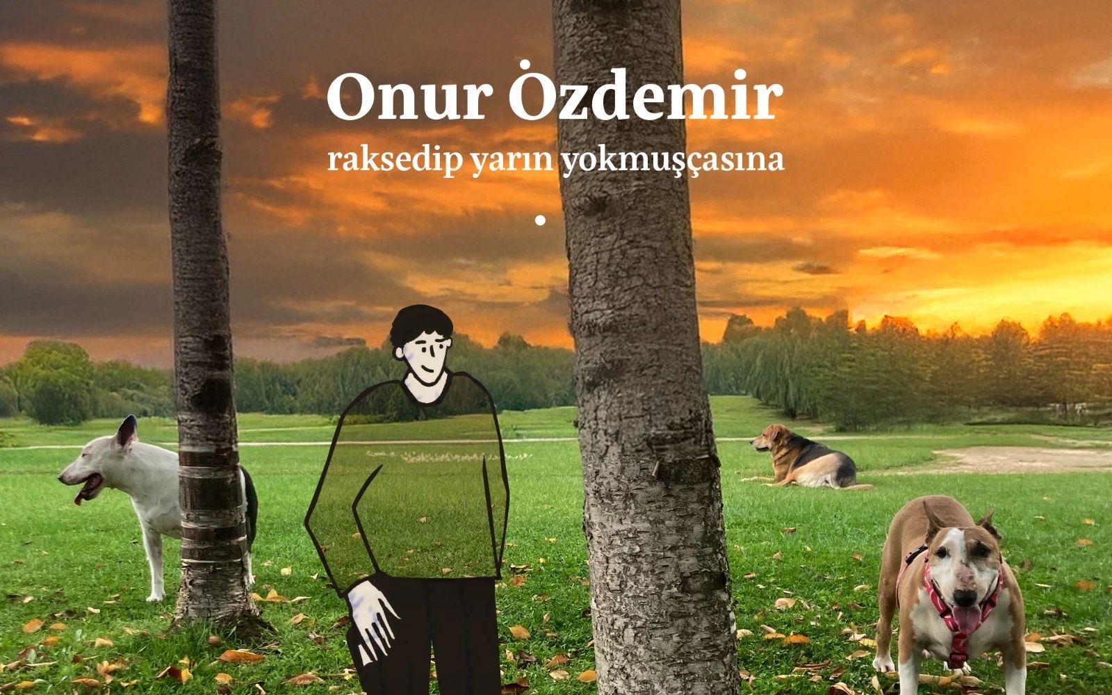 Onur Özdemir Konseri poster