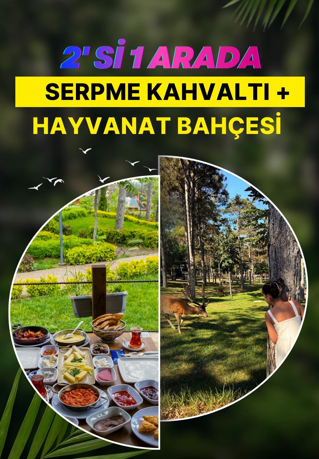 Park Of İstanbul - Hayvanat Bahçesi ve Serpme Kahvaltı 