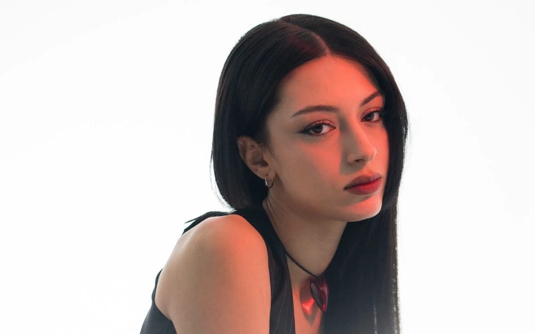 Rana Türkyılmaz Konseri poster