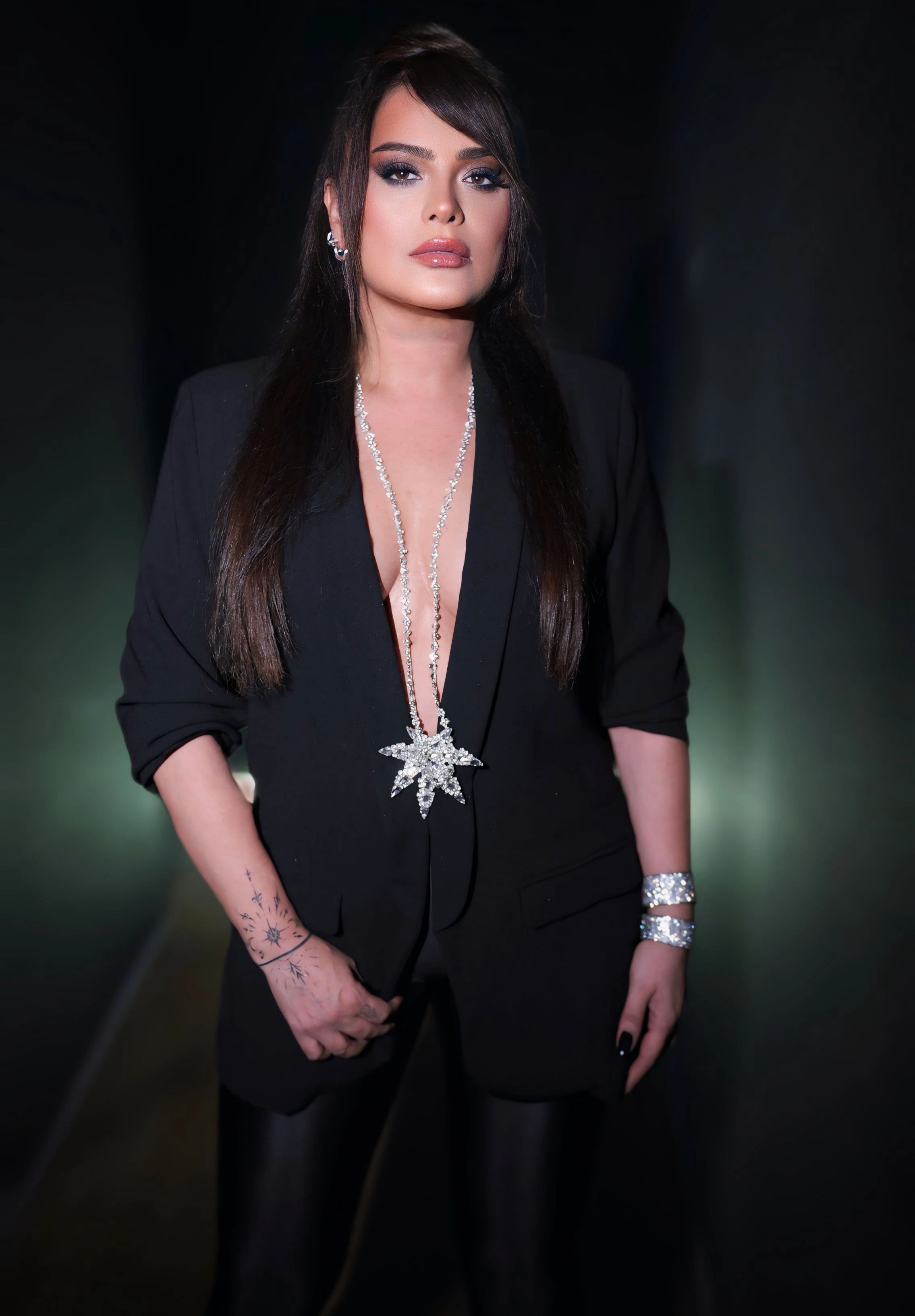 Reyhan Karaca Konseri