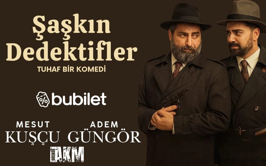 Şaşkın Dedektifler poster
