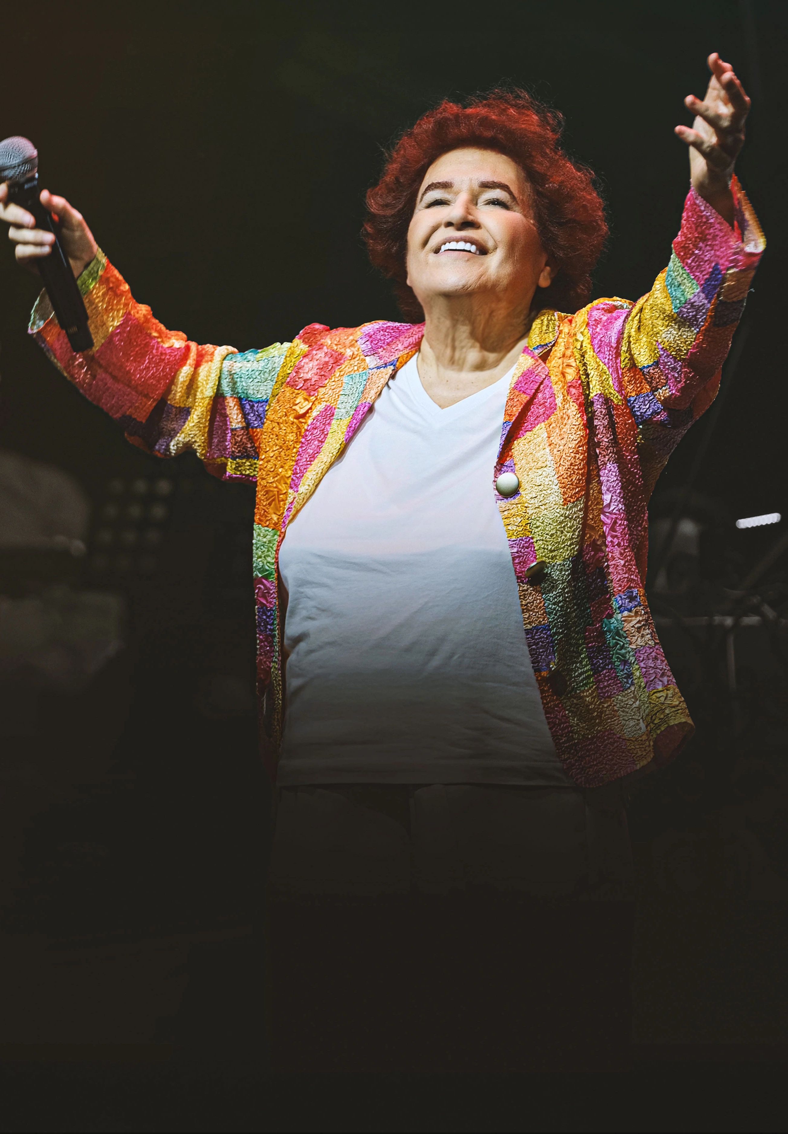 Selda Bağcan Konseri