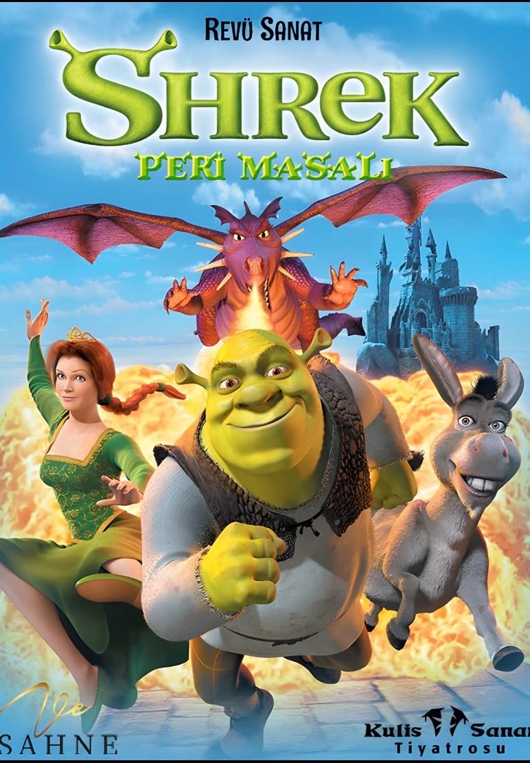 Shrek Çocuk Oyunu