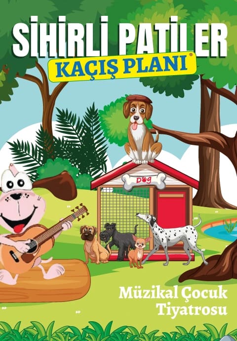 Sihirli Patiler - Kaçış Planı