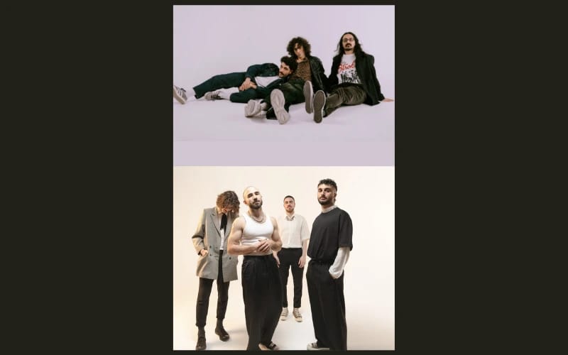 Siyah Tavşan - Voyvo