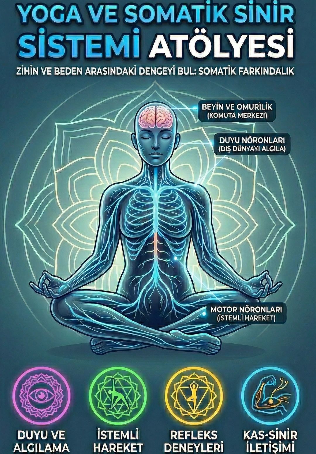 Somatik Yoga & Sinir Sistemi Regülasyonu Atölyesi