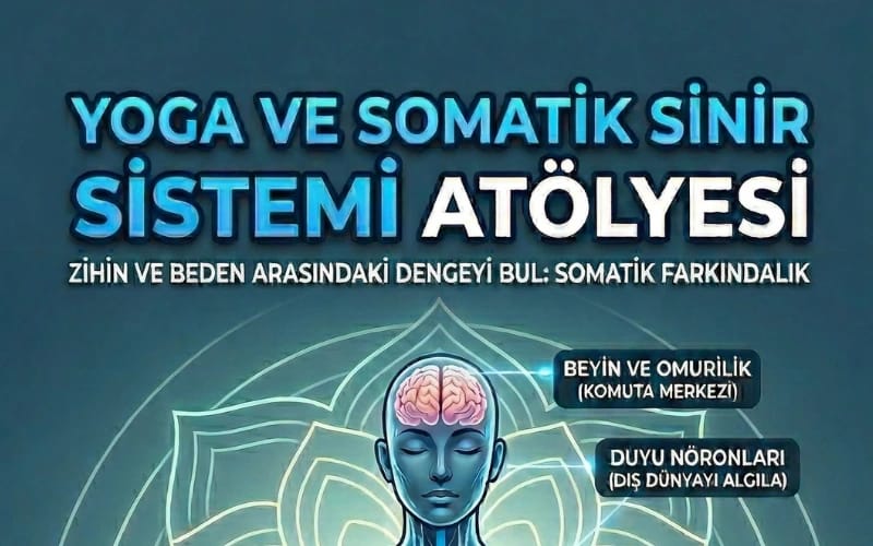 Somatik Yoga & Sinir Sistemi Regülasyonu Atölyesi