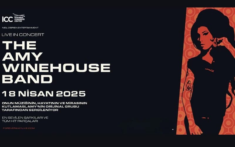 The Amy Winehouse Band