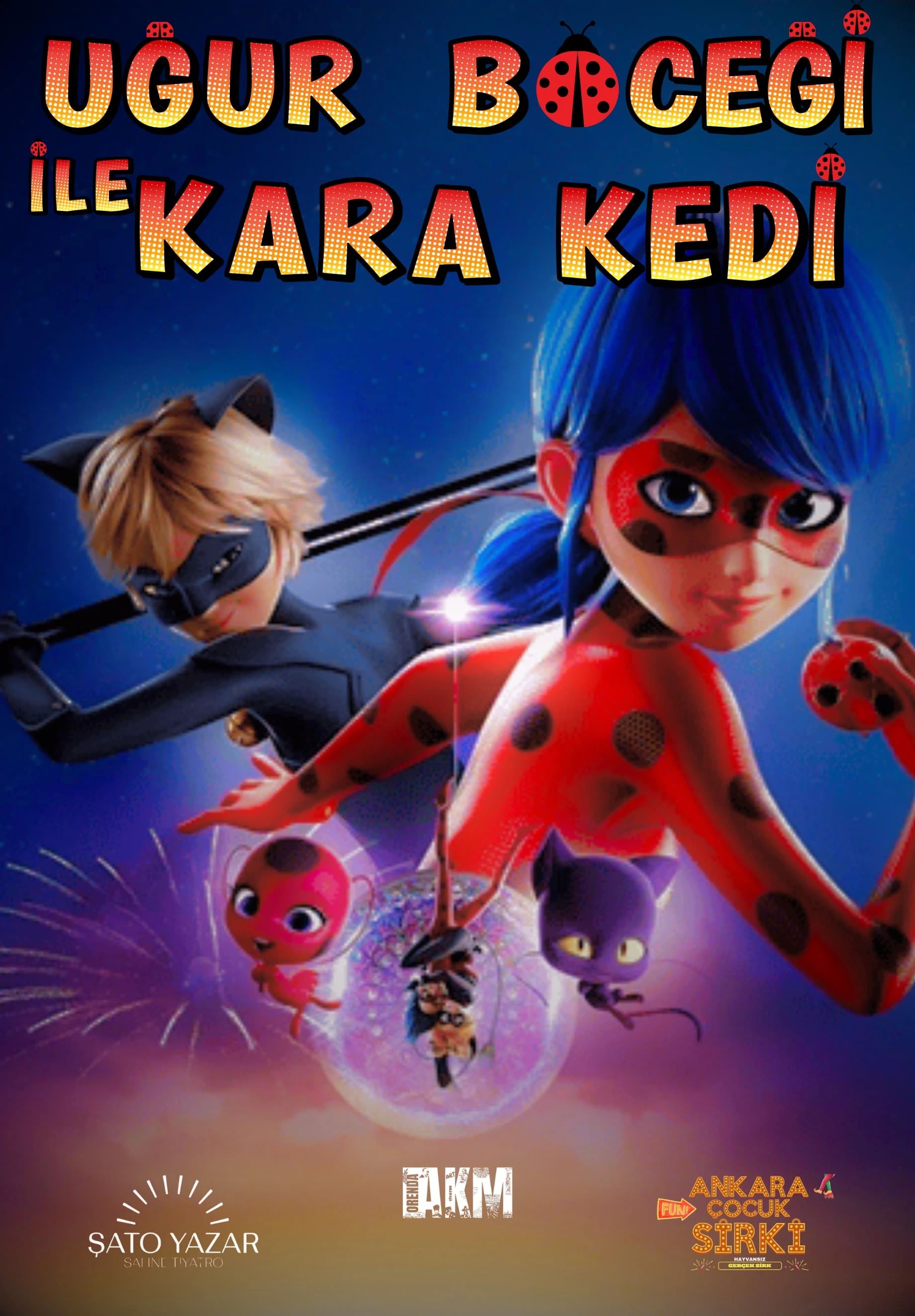 Uğur Böceği ve Kara Kedi