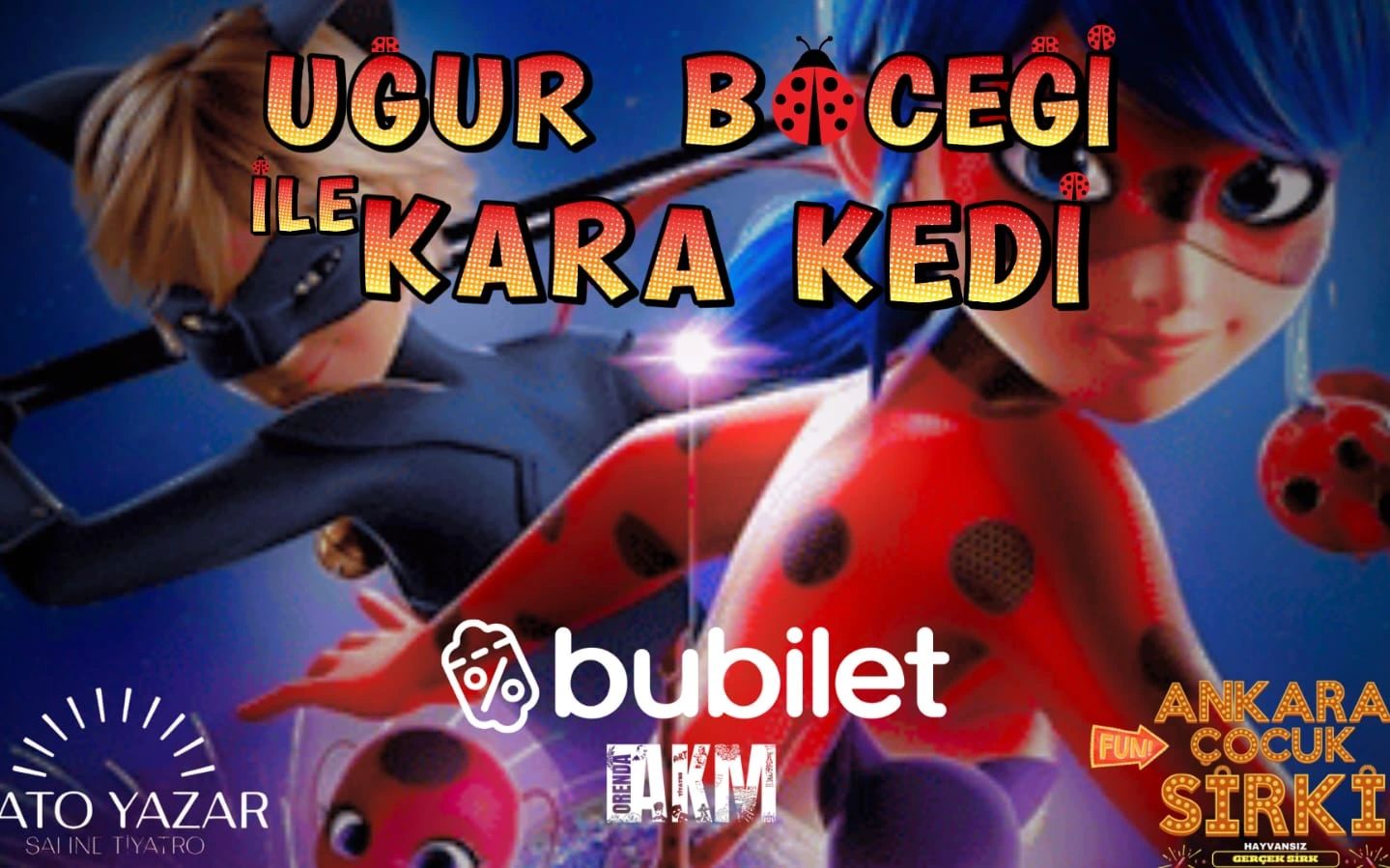 Uğur Böceği ve Kara Kedi poster