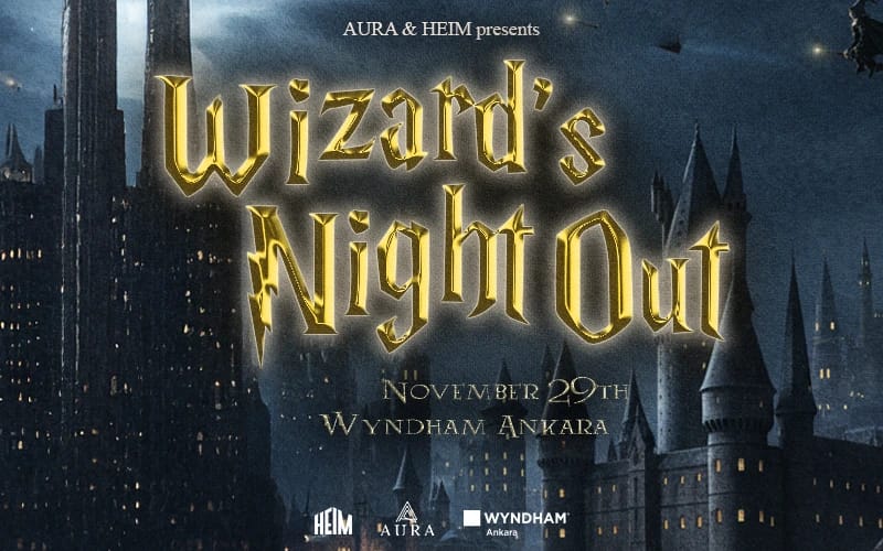 Wizard's Night Out